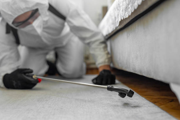 Professional Bed Bug Control technician working in Lakewood, OH
