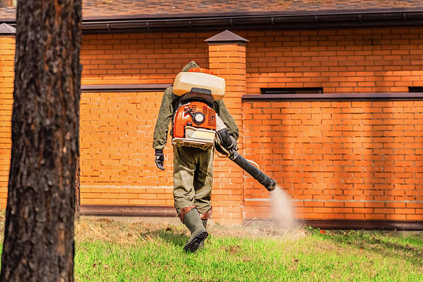 Trusted Fumigation Services service in Lakewood, OH - Nex Pest Control